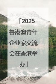 2025鲁港澳青年企业家交流会在香港举办
