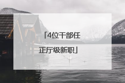 4位干部任正厅级新职