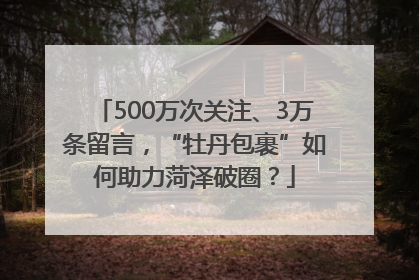 500万次关注、3万条留言，“牡丹包裹”如何助力菏泽破圈？