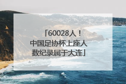 60028人！中国足协杯上座人数纪录属于大连