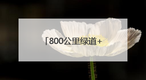 800公里绿道+365个口袋公园！长春用数字勾勒“绿色通勤路”