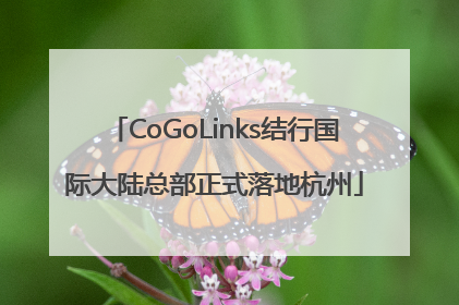 CoGoLinks结行国际大陆总部正式落地杭州