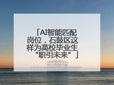 AI智能匹配岗位，石鼓区这样为高校毕业生“职引未来”