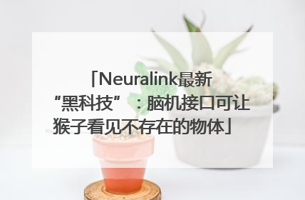 Neuralink最新“黑科技”：脑机接口可让猴子看见不存在的物体