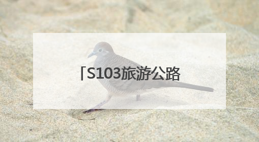S103旅游公路正式通车 打造山东交旅融合新标杆